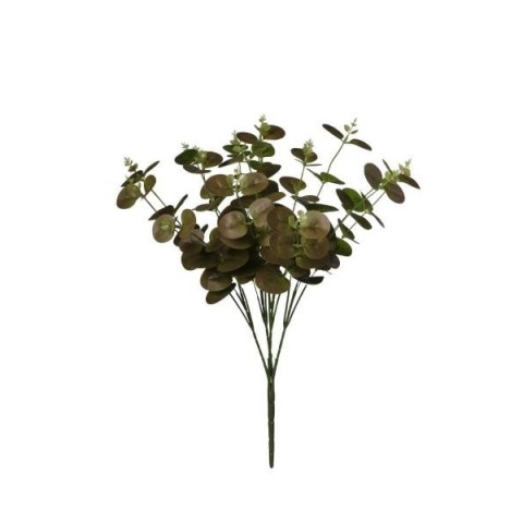 MAZZO EUCALIPTO CM50 BROWN